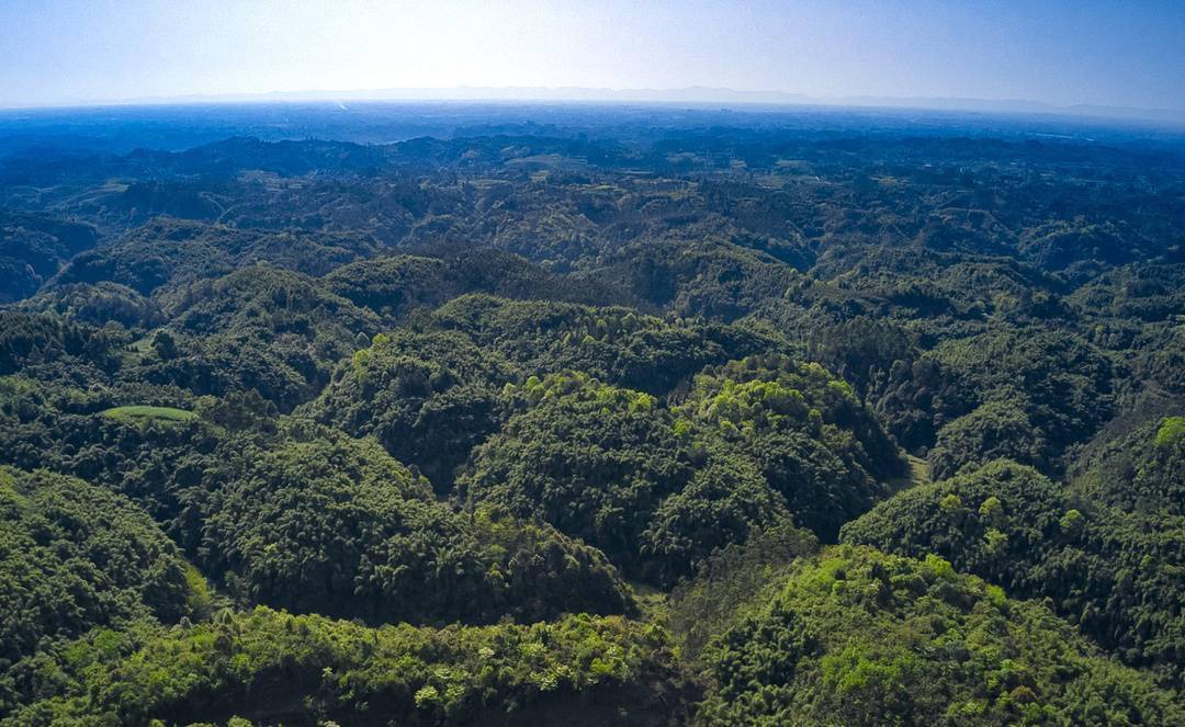 图集丨春日川西坝子 丘陵碧绿似翡翠