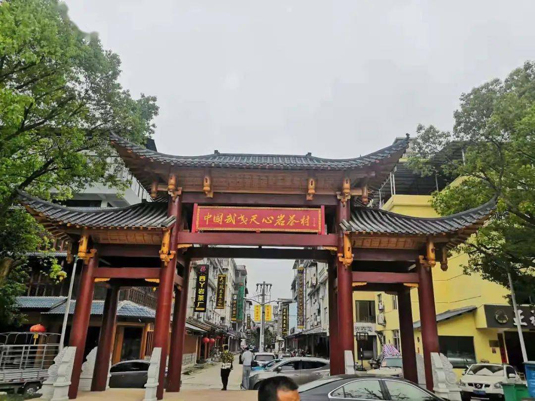 武夷研学第一天收获颇丰深夜继续学习制作工艺与理论