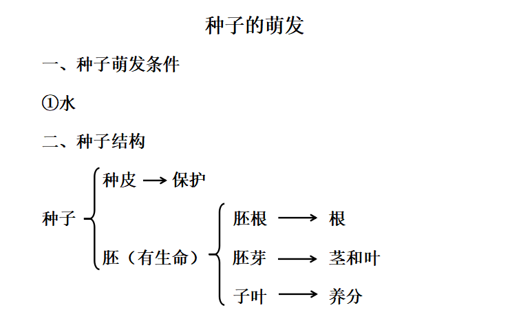 【试讲逐字稿】生物《种子的萌发》