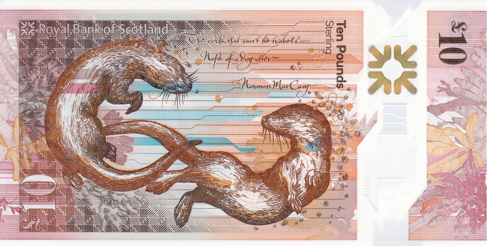 钞票上的女科普大师玛丽萨默维尔