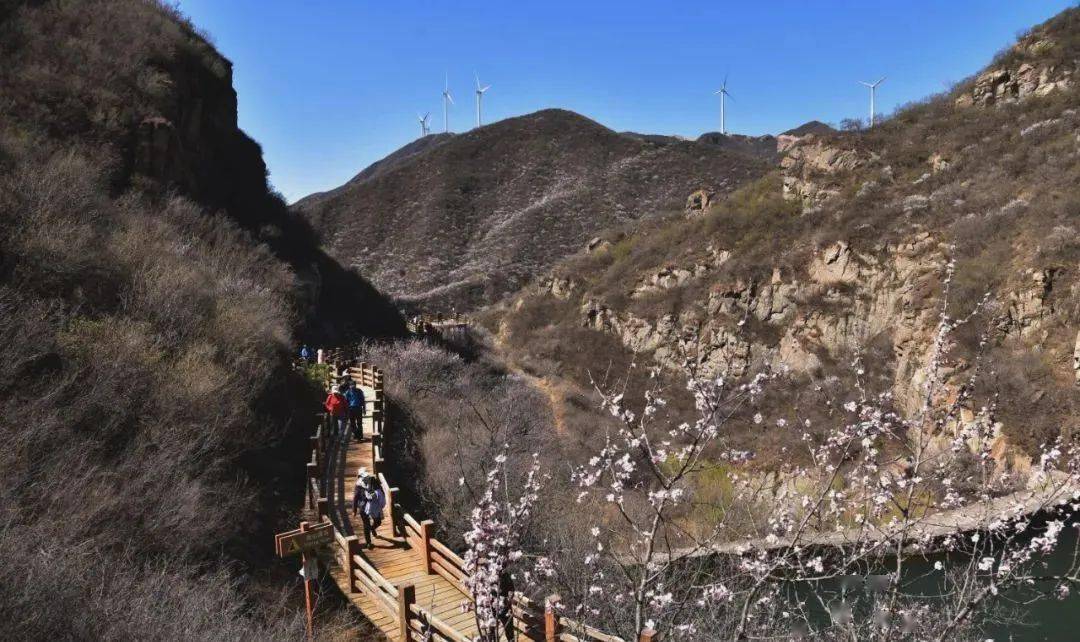 昌平花事长峪城山花烂漫青山翠