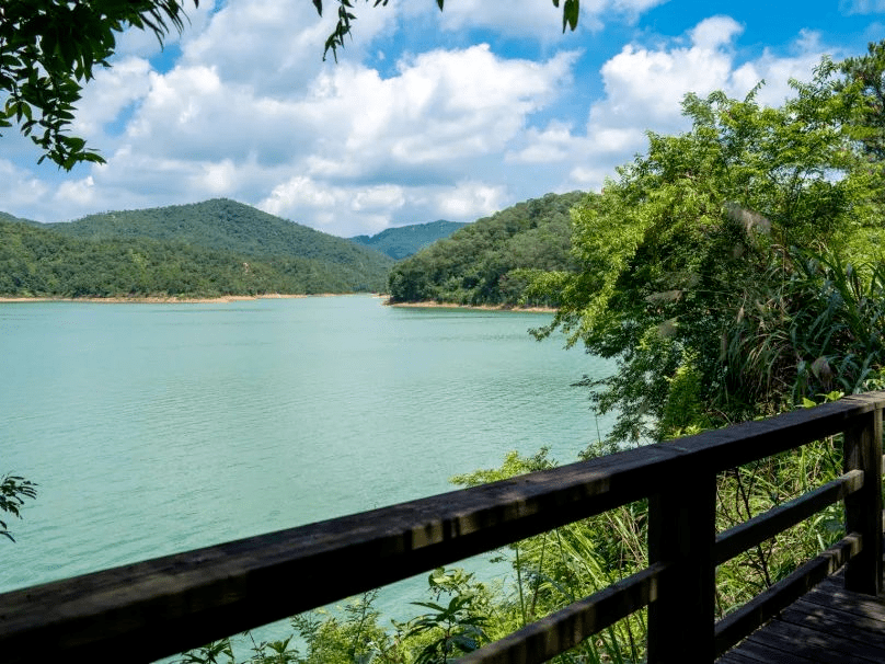 位於4a級景區九龍湖度假區內的生態公園,春林茂盛,行走其中,彷彿已經