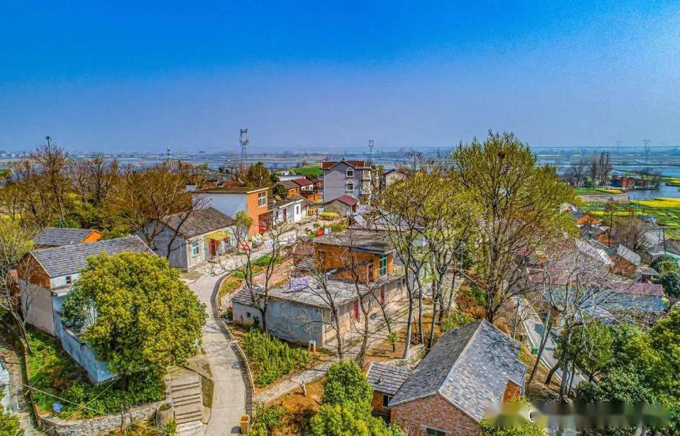 安徽巢湖募基墩村:美丽村庄 满眼春光