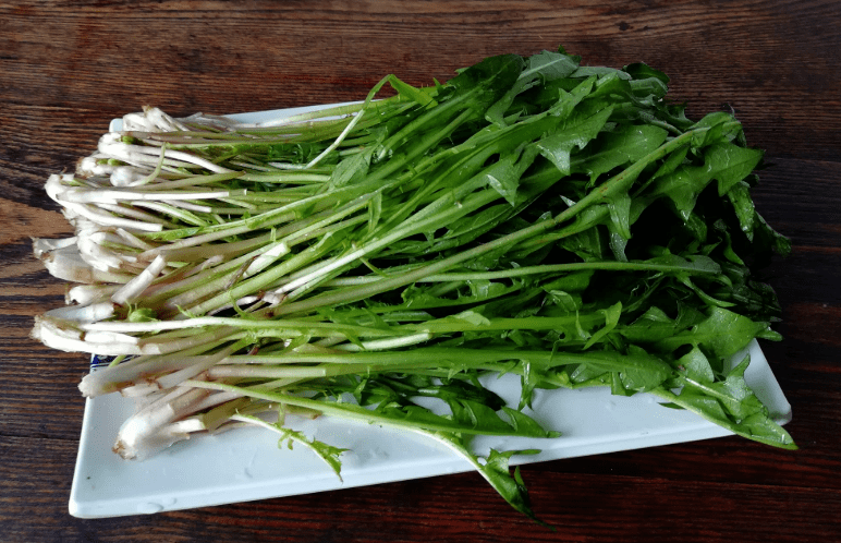 婆婆丁的吃法与功效 ccb0cdb2b0fb43ffbe8f9ebdb7e7e270.png