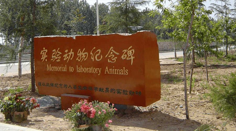 那些实验动物最终都去了哪动物蝌学