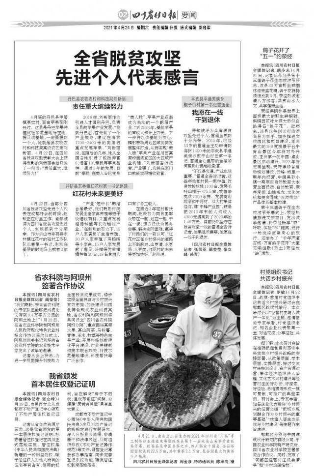 鸽子花开了 五一 约荥经 建设