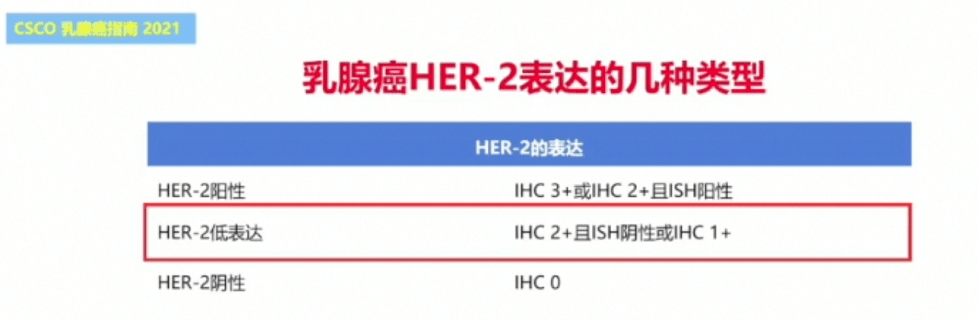 2021csco 直击 殷咏梅教授解读her2 阳性乳腺癌指南更新 治疗