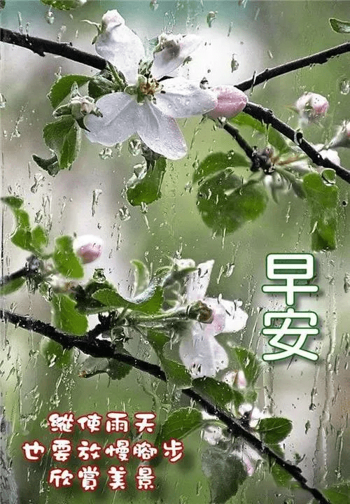 下雨天早安暖心图片图片