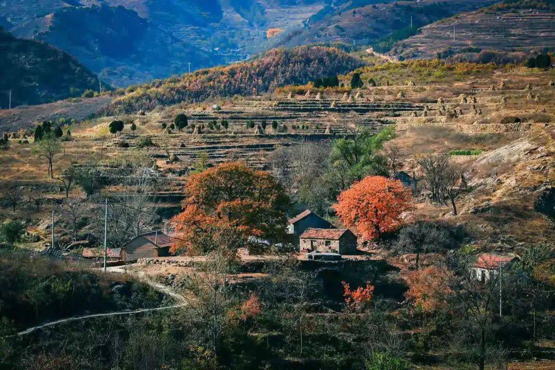 五莲县街头镇房家沟村岚山区岚山头街道官草汪村五