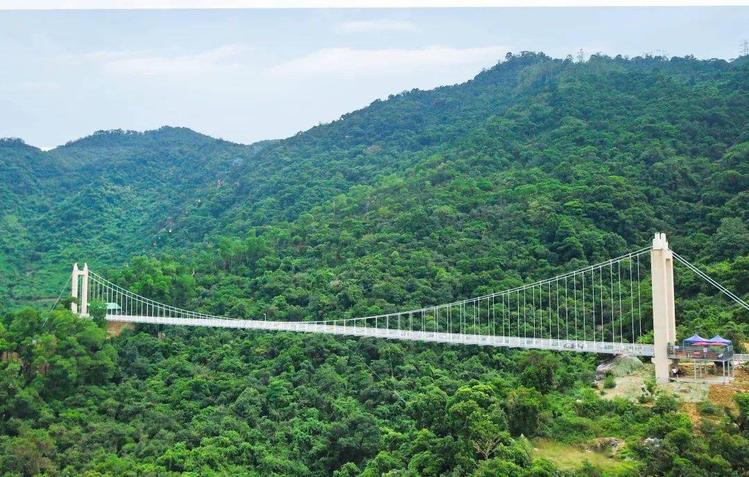 人气游乐园中山泉林能玩能拍能遛娃