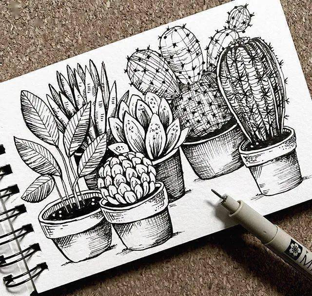 植物线描黑白灰图片