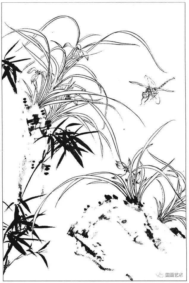 君子芳馨竹傲兰馥(来源:《花鸟鱼虫白描速成画谱》,赵树魁编绘,天津