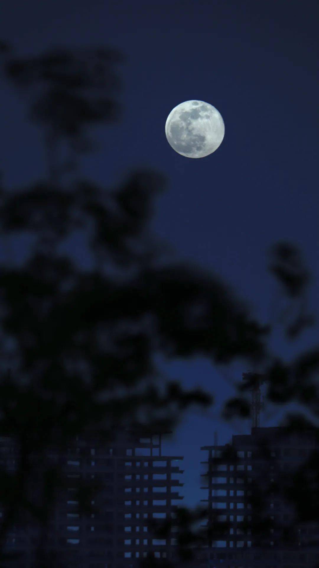 称之为"满月",亦称为"望"此时的月亮最圆从地球上看并且月亮和太阳的