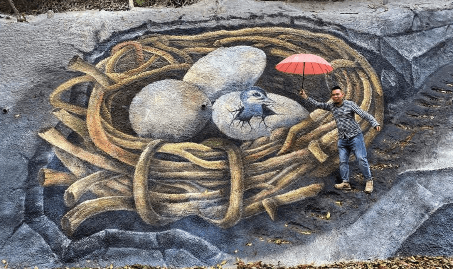 见证世界记录诞生丰盛彩色森林邀您体验3d立体画艺术狂欢五一来临到