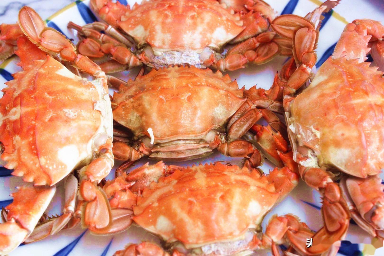 螃蟹吃什么食物好养活图片