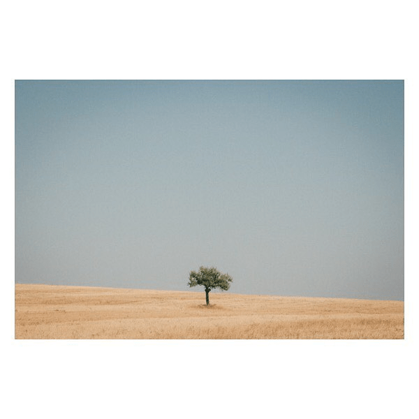 264017ccb429483fbcca8e4749fc9976.png