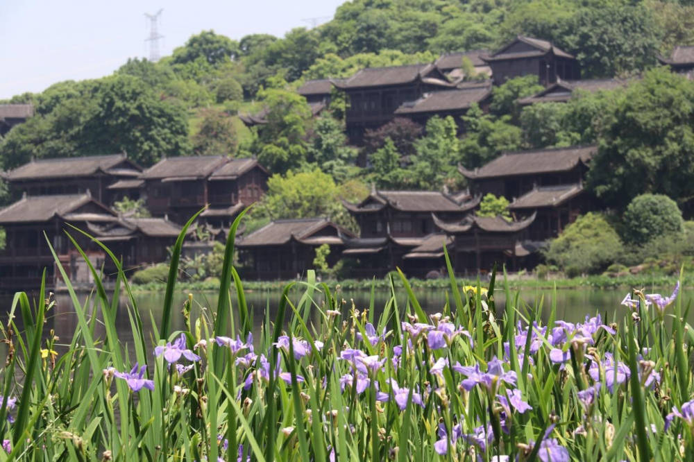 颂党恩 守初心 重庆园博园五一节将推出大型音乐会 活动