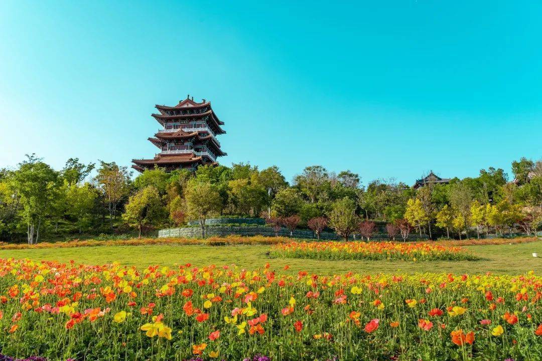 嗨玩五一园博园放大招了