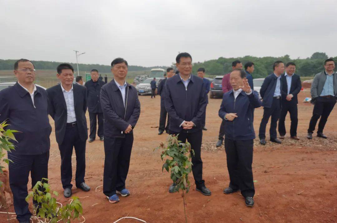 张小平督导调研鹰潭市林长制工作