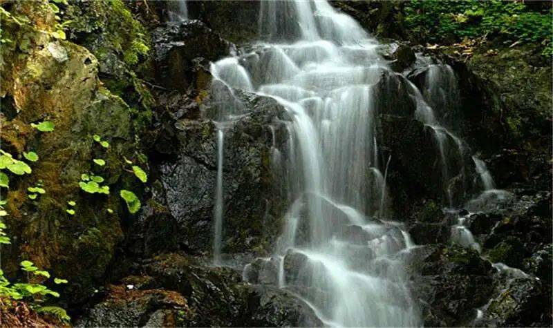 湯溝風景區花溪沐溫泉度假村採用的是萬年前形成的次火山岩自湧泉