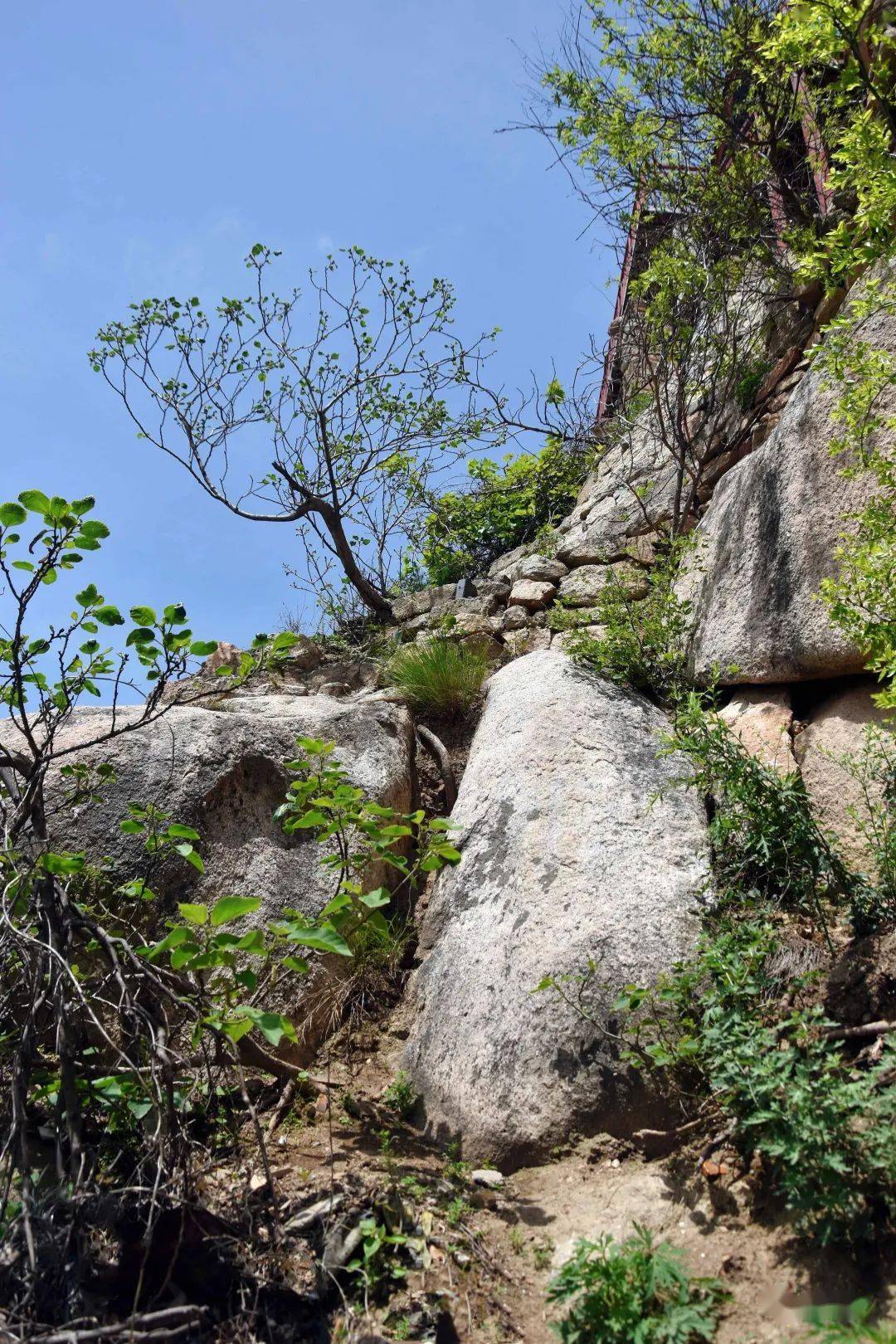 鲁山张良姜道山图片