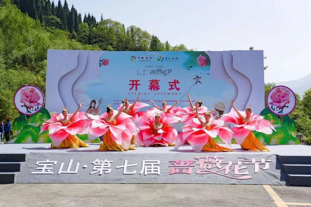 彭州宝山村蔷薇花节图片