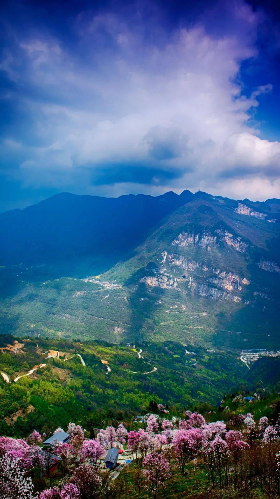 什么是快乐星球北川来带你研究