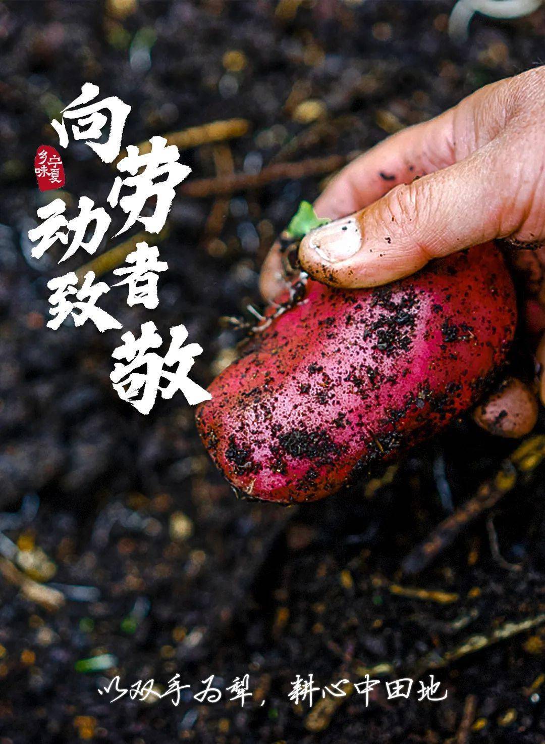 劳动节致敬每一份辛勤付出