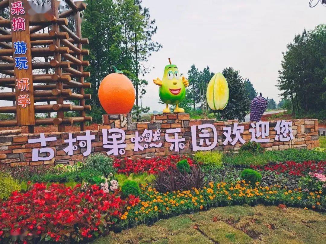 "果树结金果,小镇迎贵客!