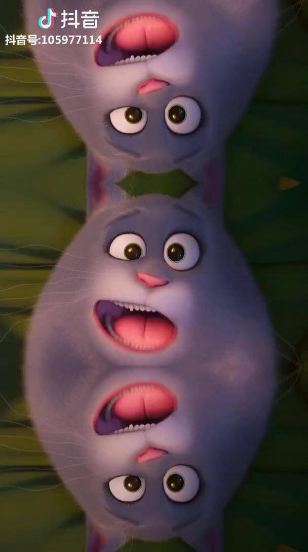 附送一个魔性的壁纸动态壁纸爱宠大机密2猫