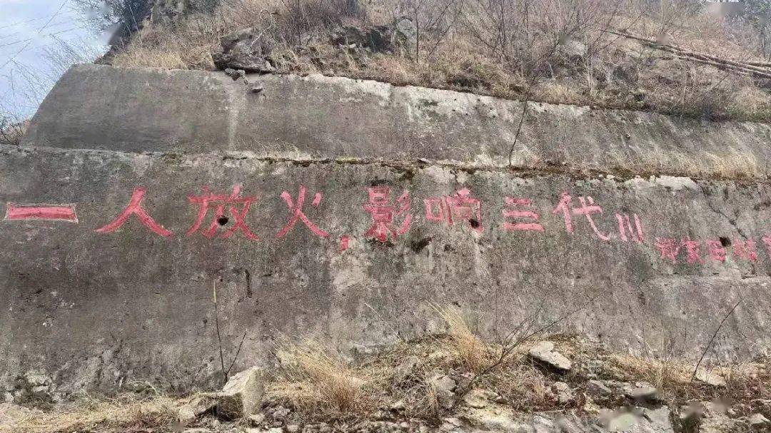 投票啦寻找最牛凉山森林草原防灭火宣传标语大赛开始投票