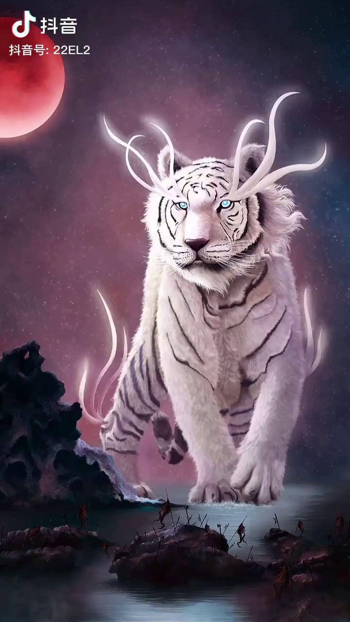 四灵神兽寓意勇敢凶猛惩恶扬善热门壁纸