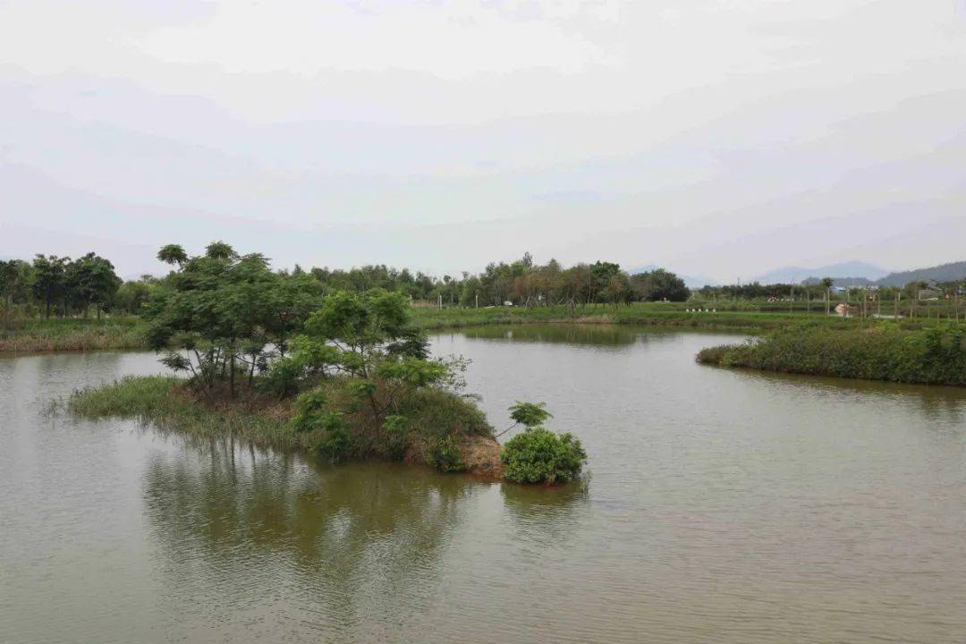珠海这个公园,新惊喜!_湿地