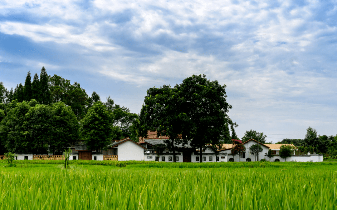 五一假期安排上!16条成都乡村精品旅游线路出炉