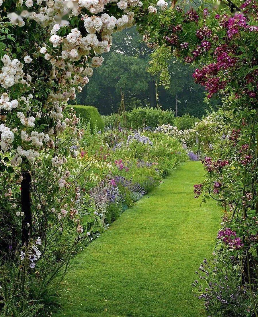 美丽的花园世界