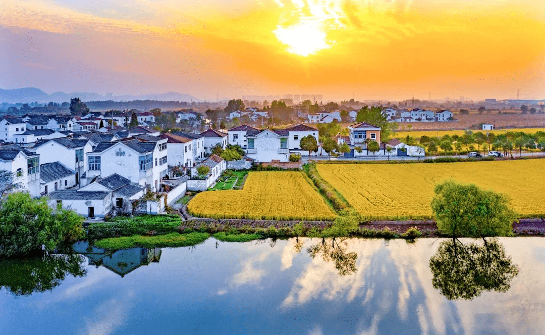 城市田园犁出栖霞好光景