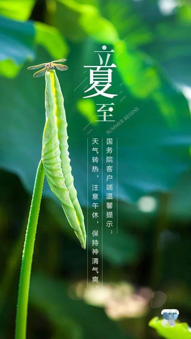 今日立夏 人生当如初夏 养生