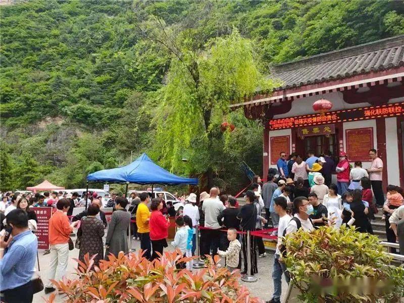 成县各大景点游客爆满,车流不息,全域旅游人气火爆,游客接待总量,旅游