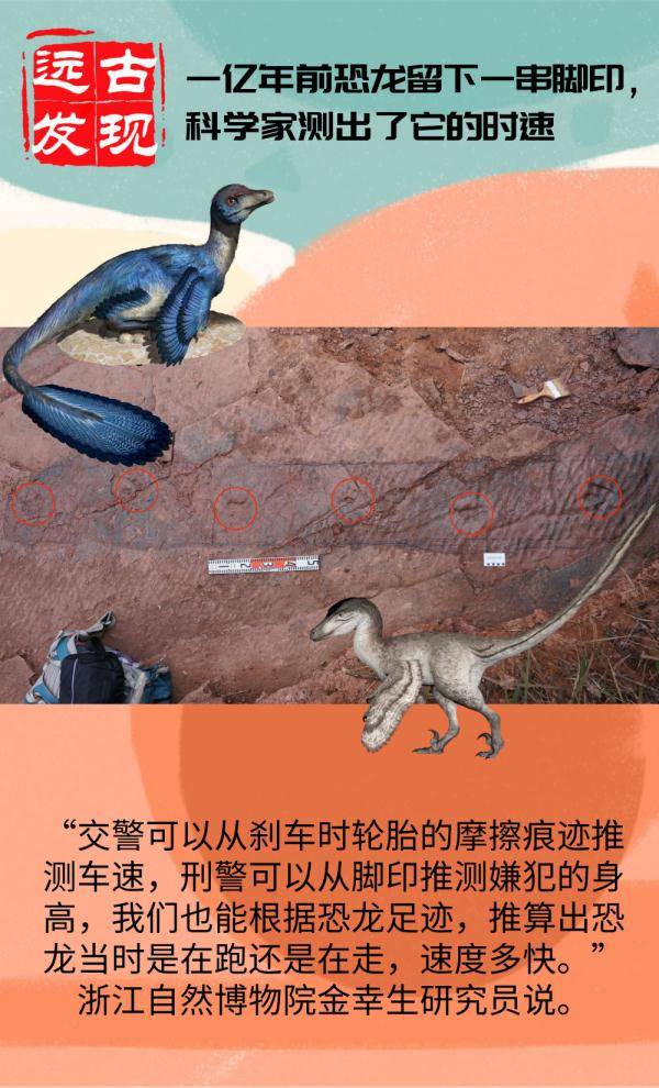 化石|远古发现丨1亿年前恐龙留下一串脚印，科学家测出了它的时速