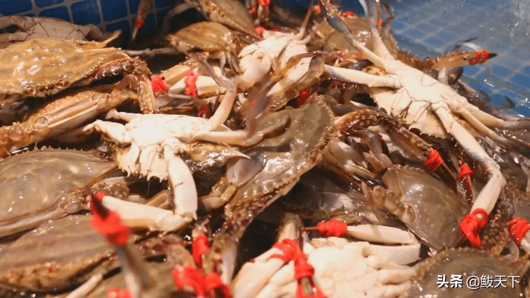 最是一年春好處暢遊鮁魚圈吃海鮮