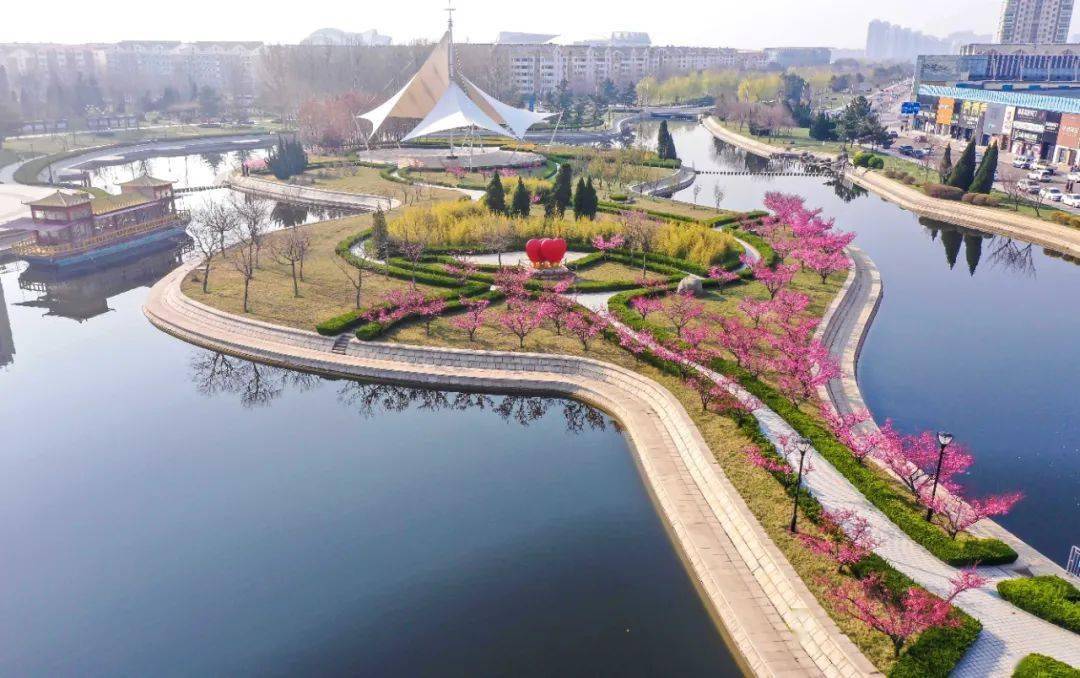 在十里河绿轴公园,粉嘟嘟的杏花,一串串压弯枝条的榆叶梅,素雅恬淡的