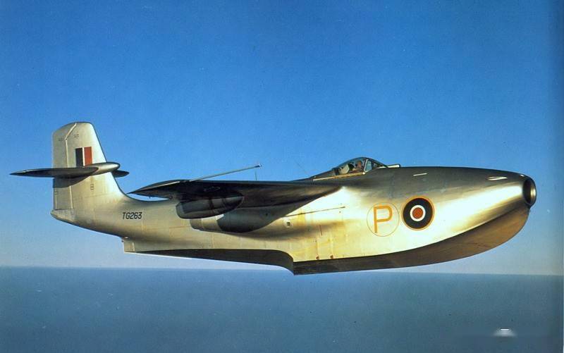 怪异的英国绅士_战斗机