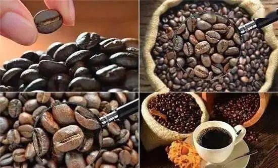 为什么咖啡生豆要烘焙后才好喝？