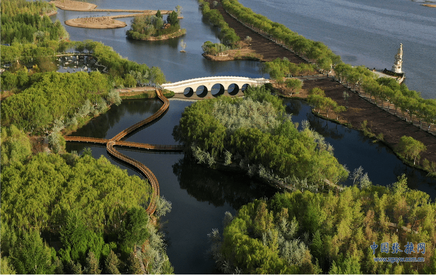 张掖高台:黑河湿地绿意盎然景如画