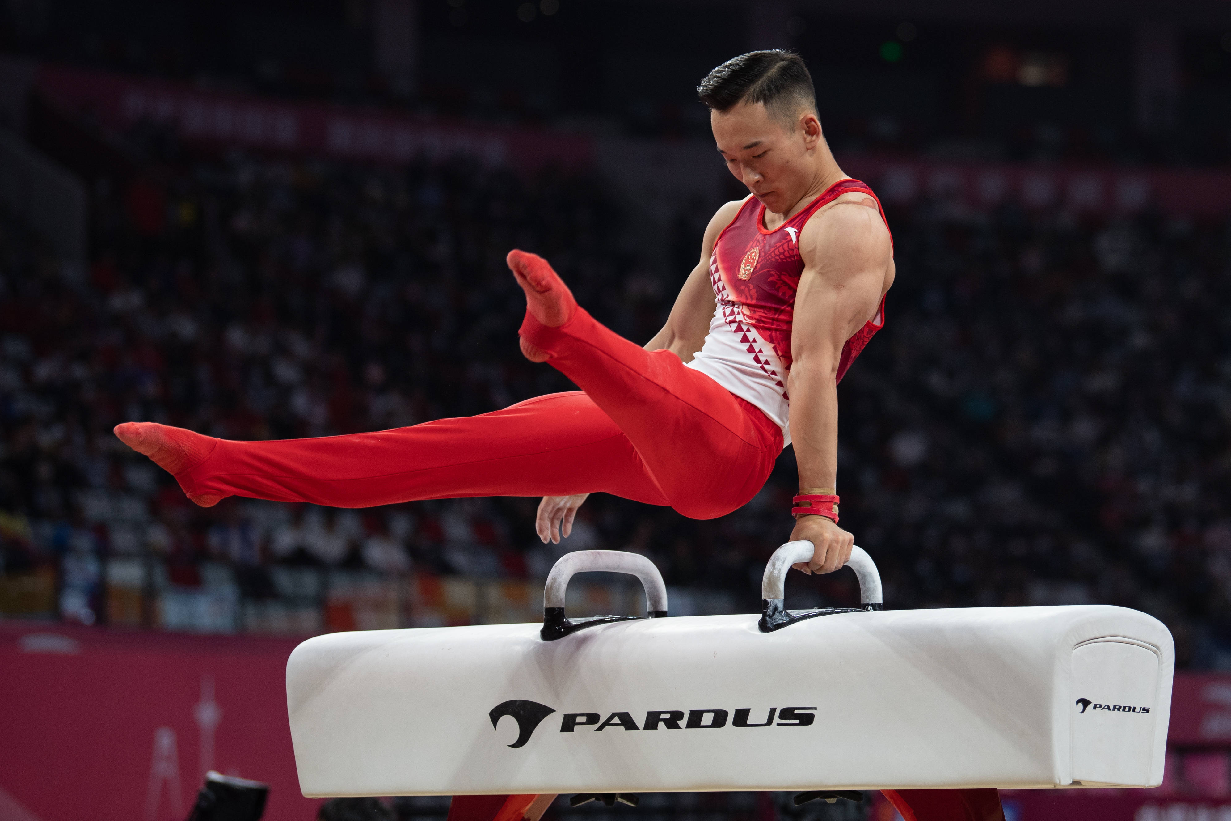 致敬历史，他才是中国第一个男子体操全能世界冠军-搜狐体育