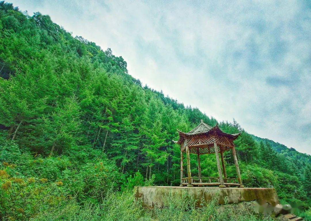 平凉文旅总工会踏春行大美庄浪陈家洞