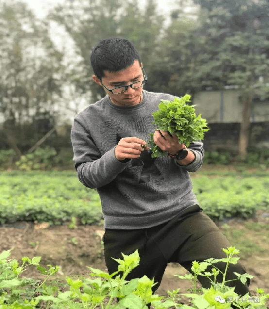 恩平市白沙水村:"新农人"李劲新和恩平市簕菜文化创意园