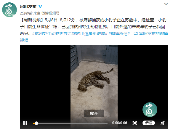 外逃金钱豹最新消息第二只已找到并未死亡