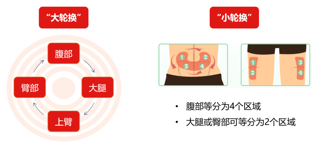 胰岛素部位图轮换图片