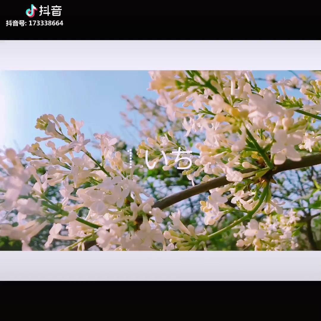 谁的等待恰逢花开
